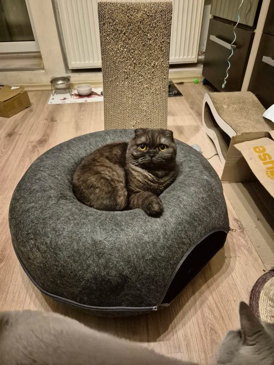 Customer photo review of The Cat Hideout Bed They'll Actually Use