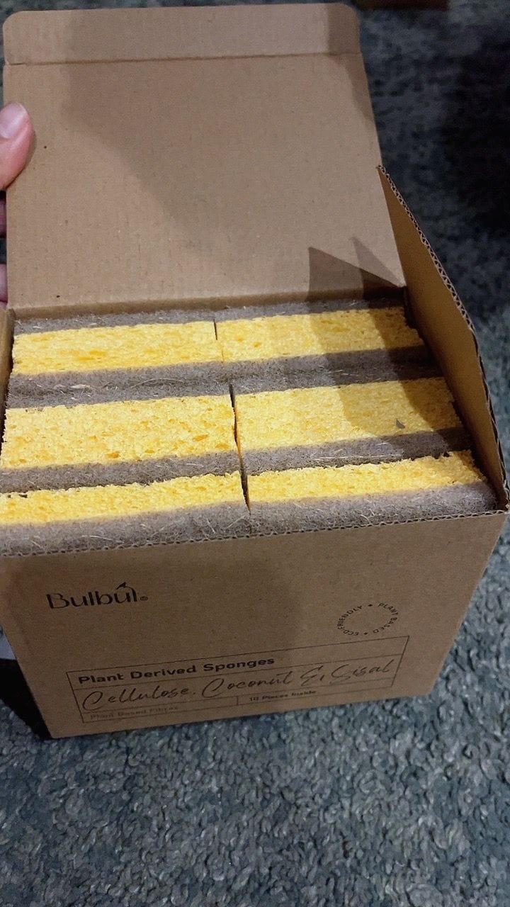 Customer photo review of Plant Derived Sponges