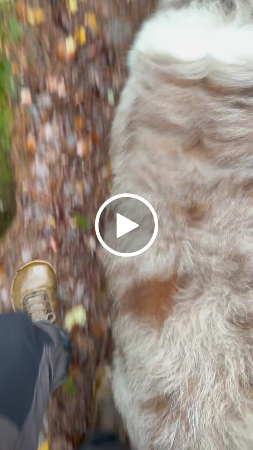 Customer video review of Vaistoa Uoma 2 | Barefoot Trekking Boots