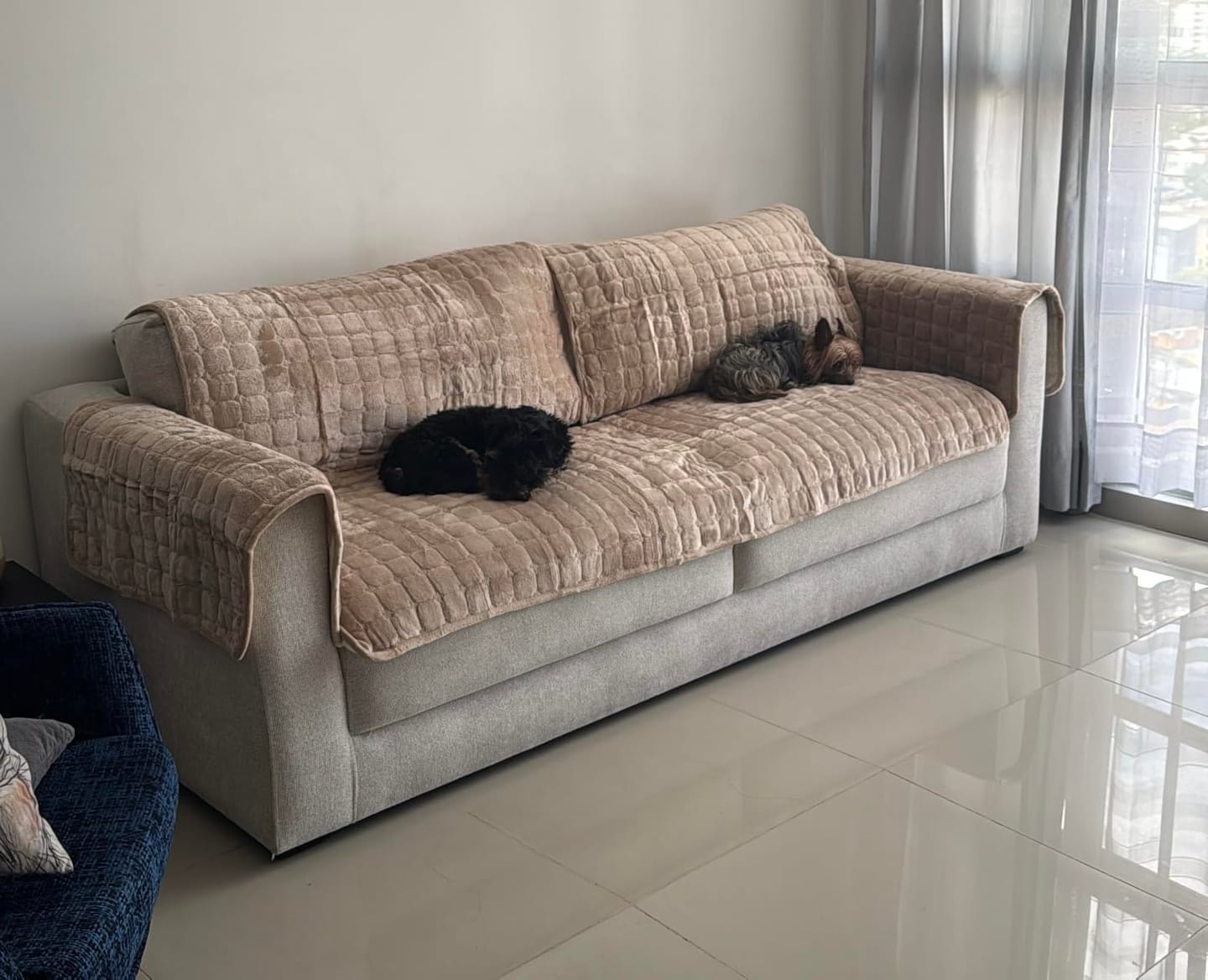 Customer photo review of pawandplush - Couch Cover