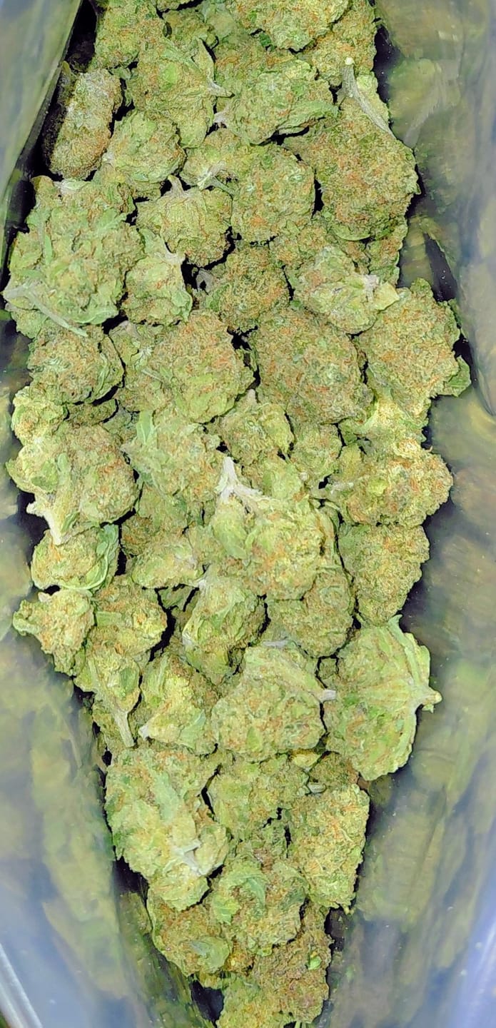 Customer photo review of Light Assist THCA Smalls