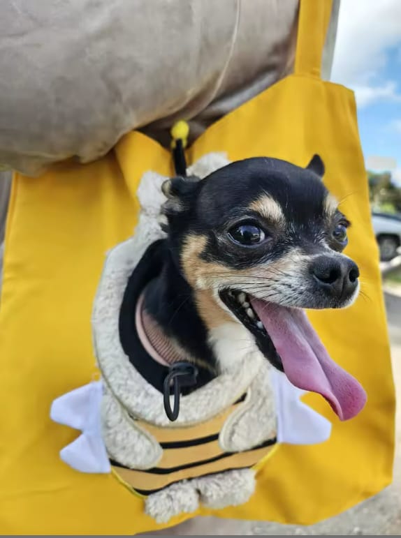 Customer photo review of Bolsa de Paseo Confort