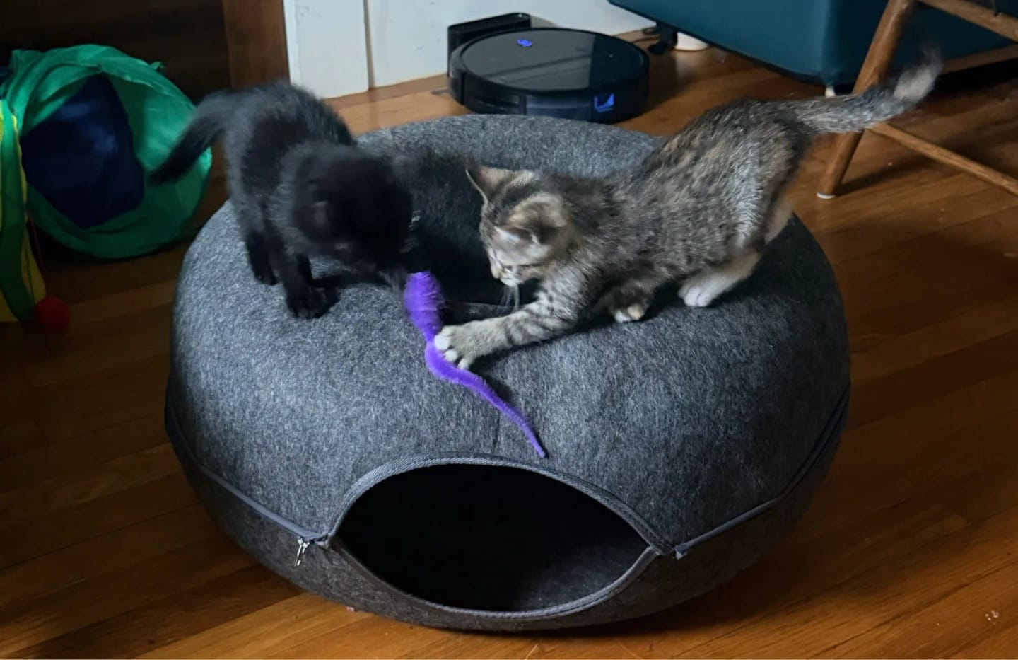 Customer photo review of The Cat Hideout Bed They'll Actually Use