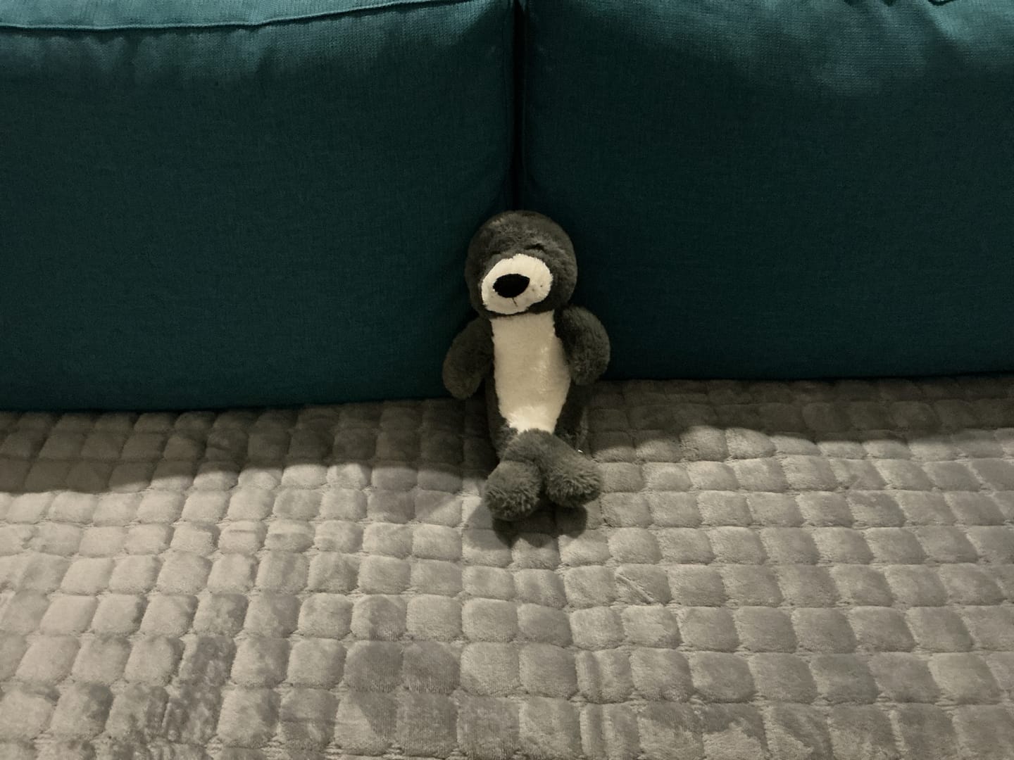 Customer photo review of pawandplush - Couch Cover