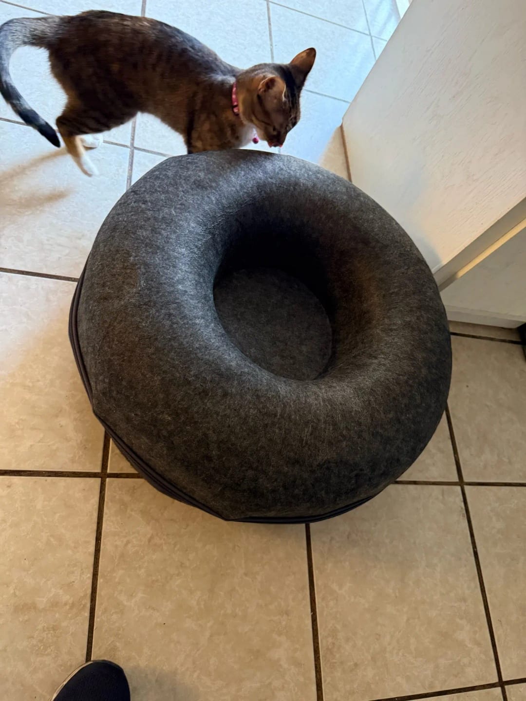 Customer photo review of The Cat Hideout Bed They'll Actually Use