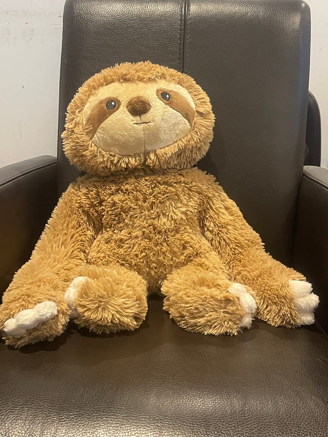 Customer photo review of Lotgenootje Luiaard 2,5kg