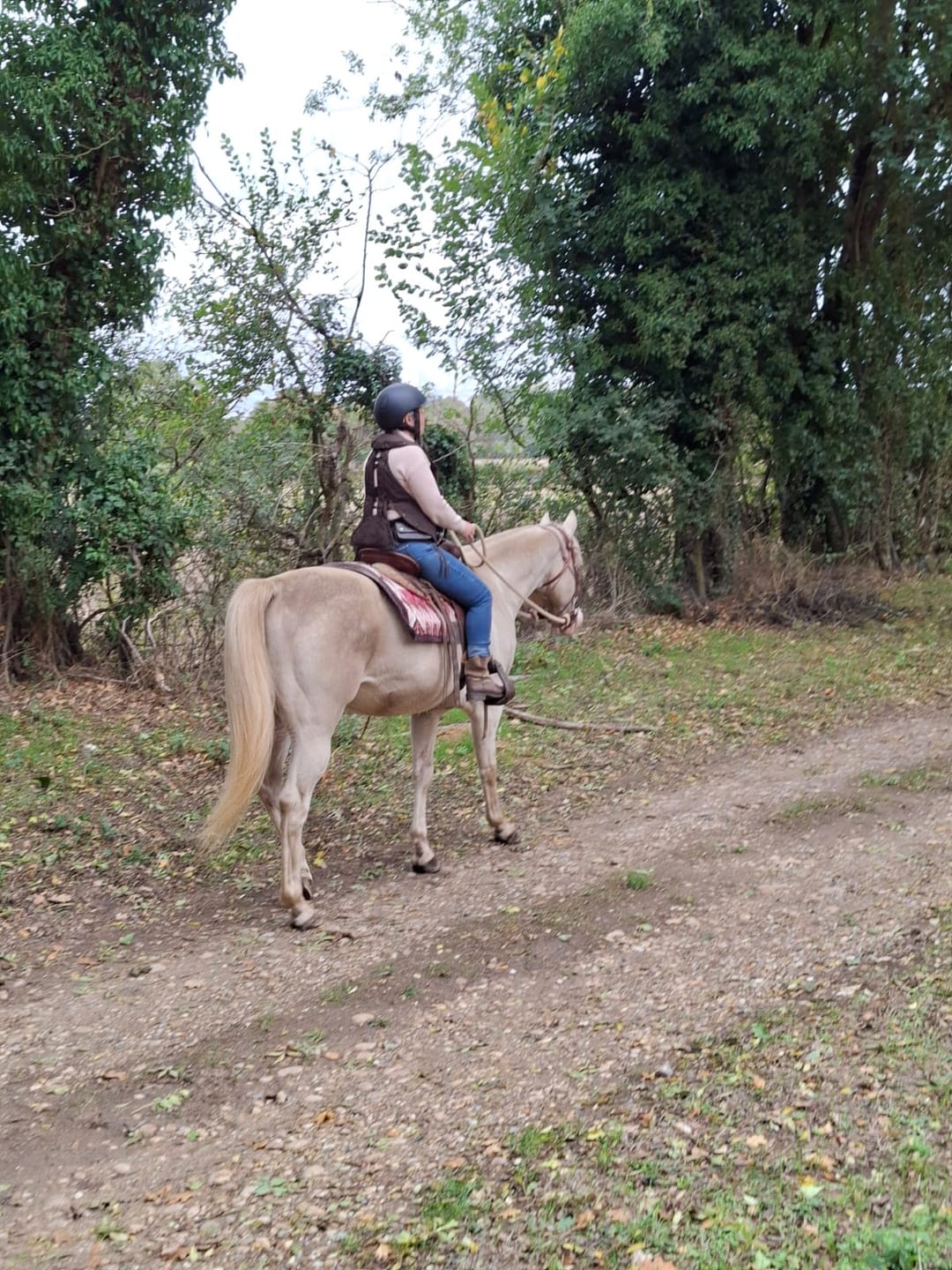 Customer photo review of MOULIN - [Brown Leather]