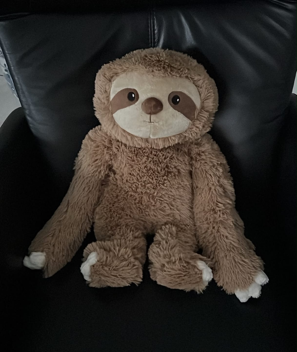 Customer photo review of Lotgenootje Luiaard 2,5kg
