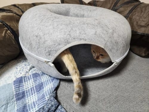 Customer photo review of The Cat Hideout Bed They'll Actually Use