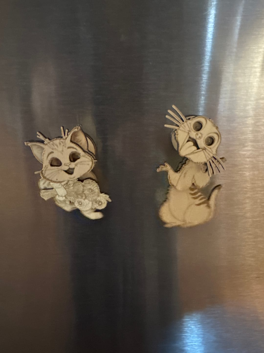 Customer photo review of 10 Cats Dogs Fridge Magnets Laser Cut SVG