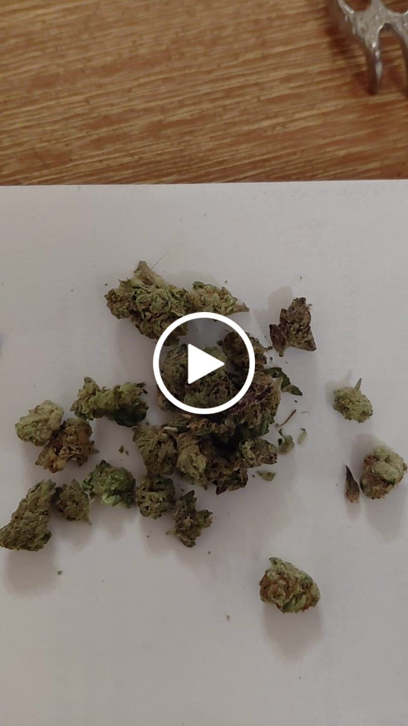 Customer video review of Sour Warheads Smalls - THCA Flower