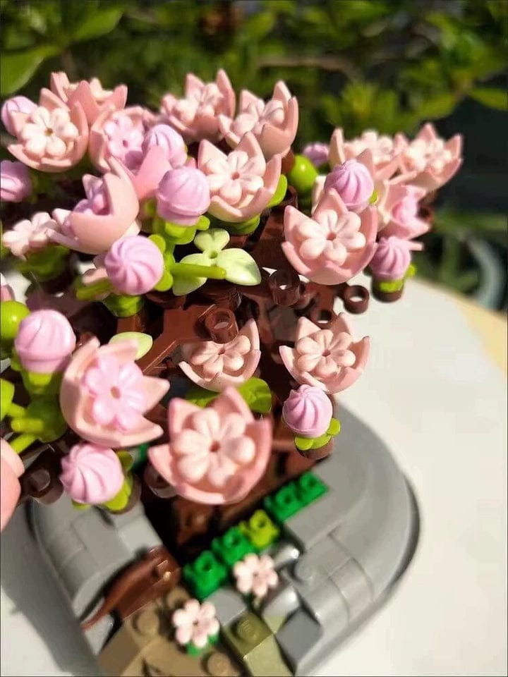 Customer photo review of Sakura Tree Bonsai (Set 1661)