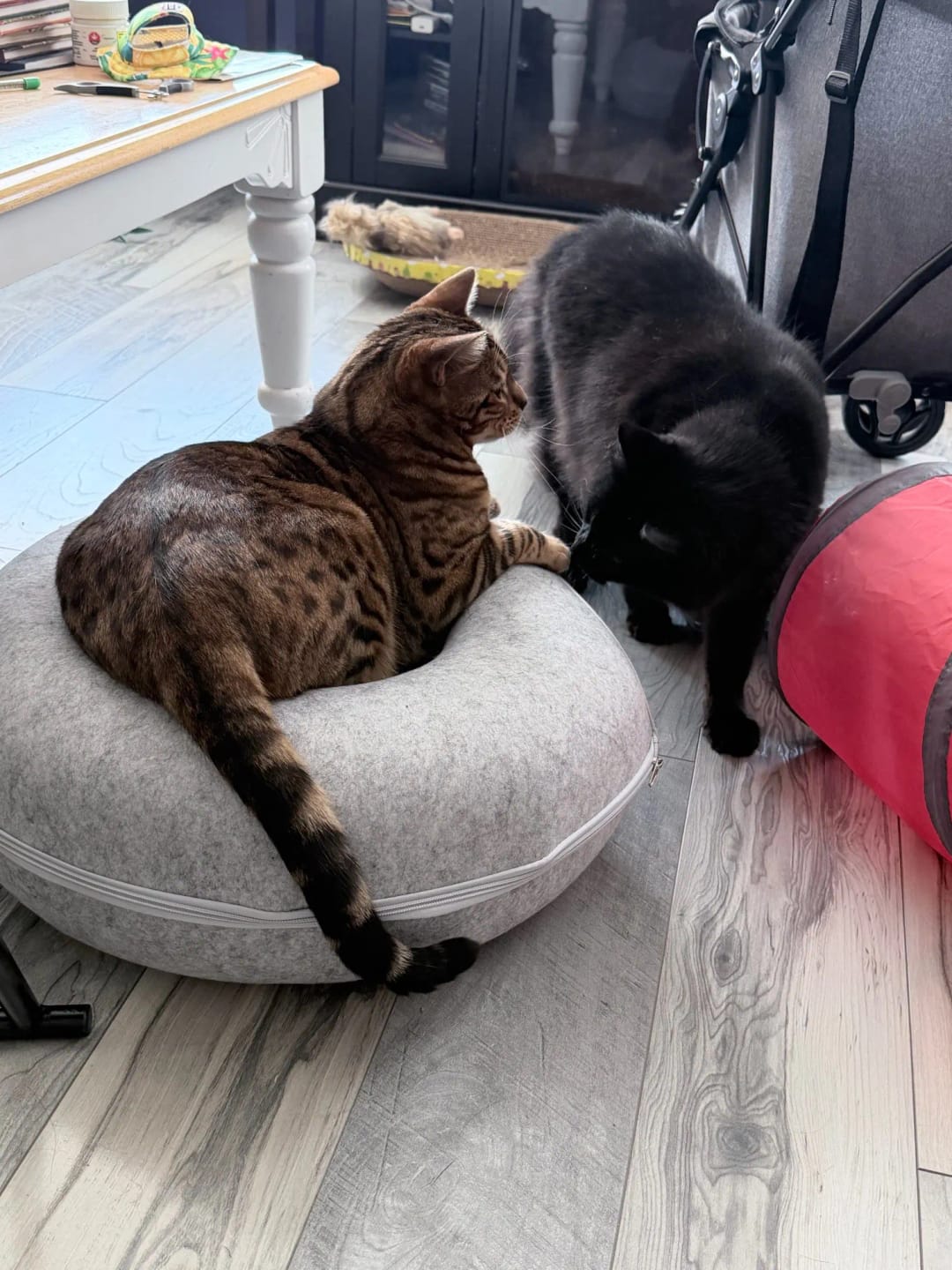 Customer photo review of The Cat Hideout Bed They'll Actually Use