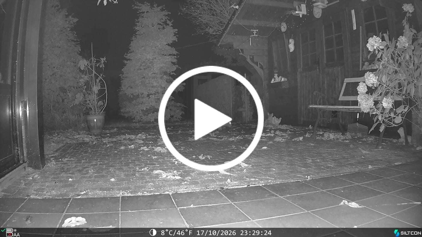 Customer video review of Siltcon® Wildcamera met Zonnepaneel 8K