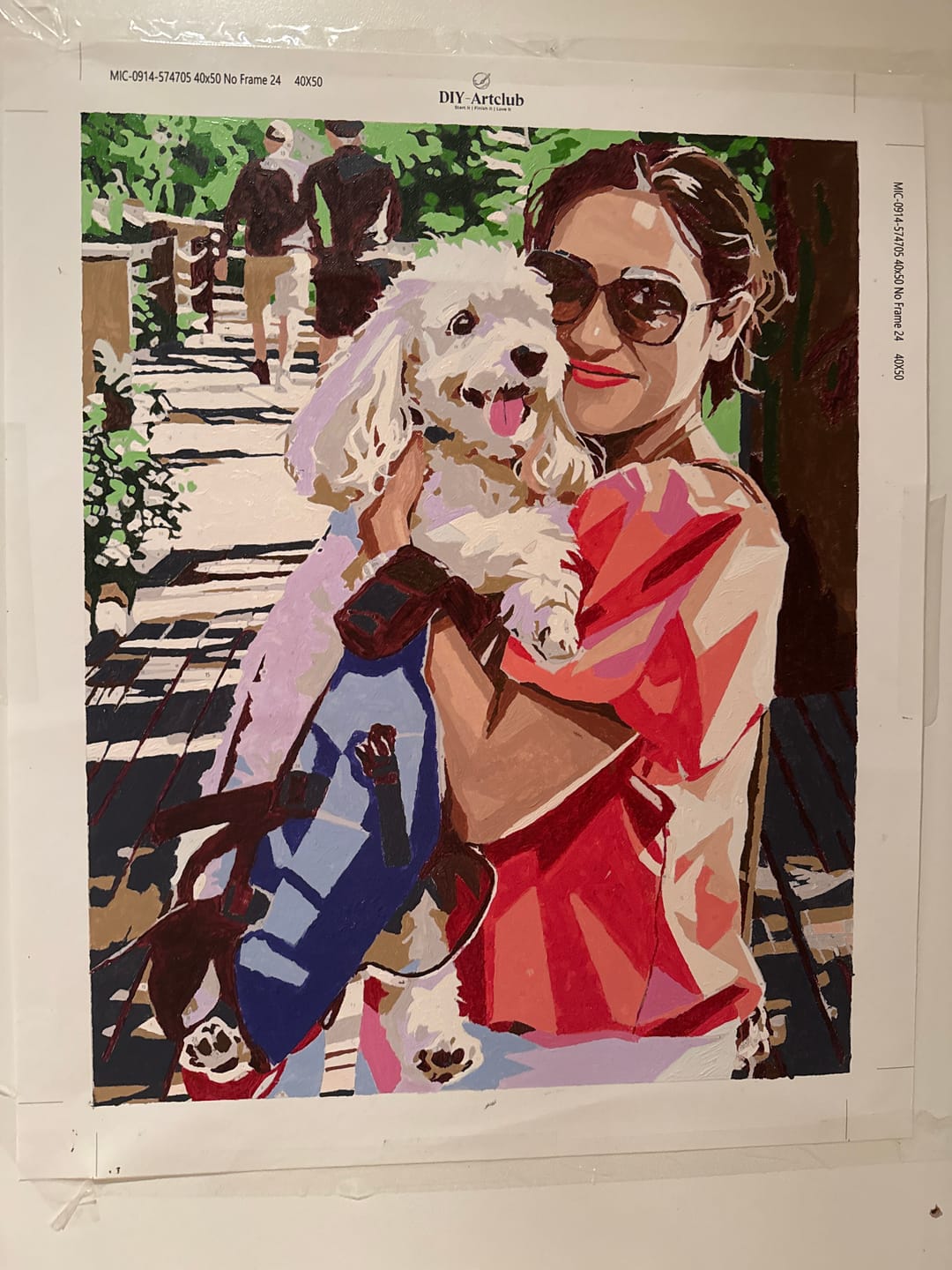 Customer photo review of Custom Kit | Paint by Numbers