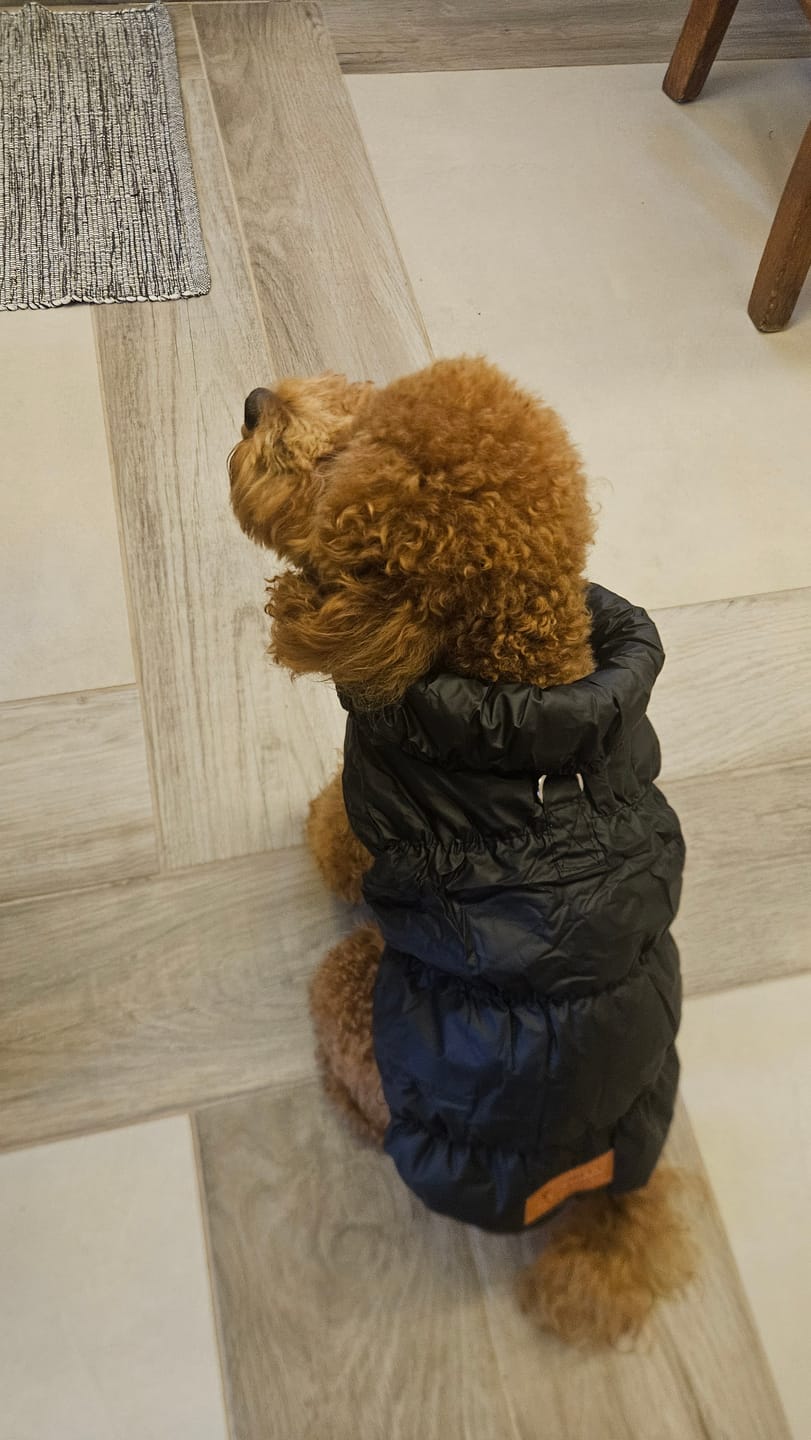 Customer photo review of Sweet Bomber