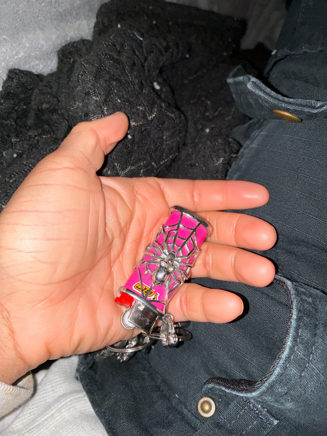 Customer photo review of SPIDER LIGHTER CASE