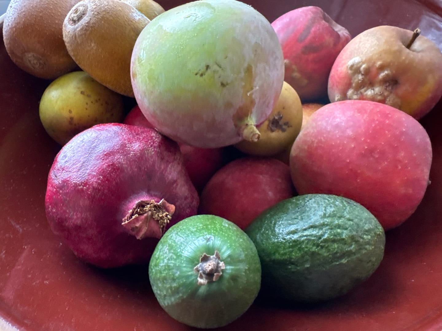 Customer photo review of Mini Mango-Avocado-Granatapfel Bio Rettungsaktion % 4kg