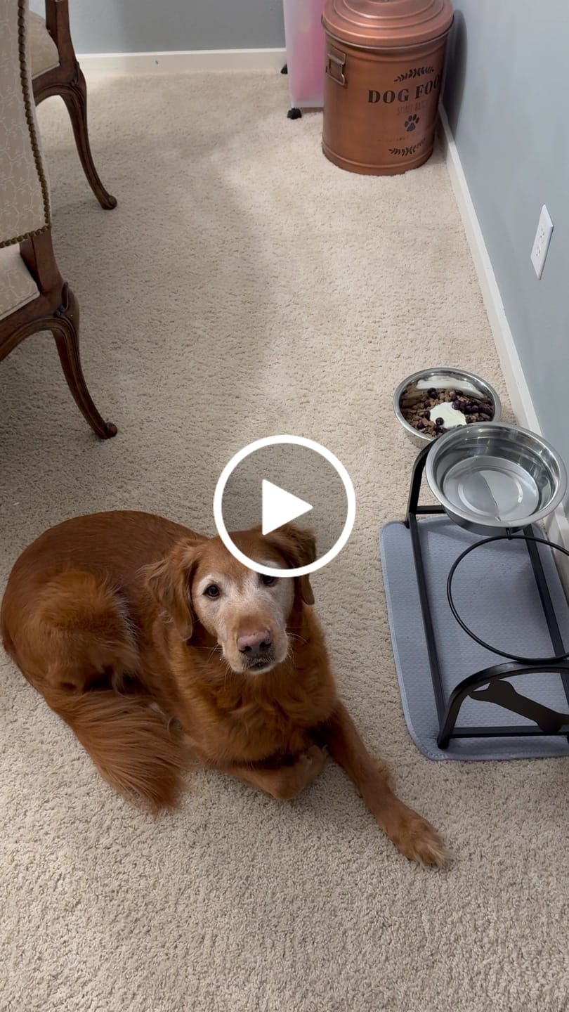 Customer video review of Golden Gravy