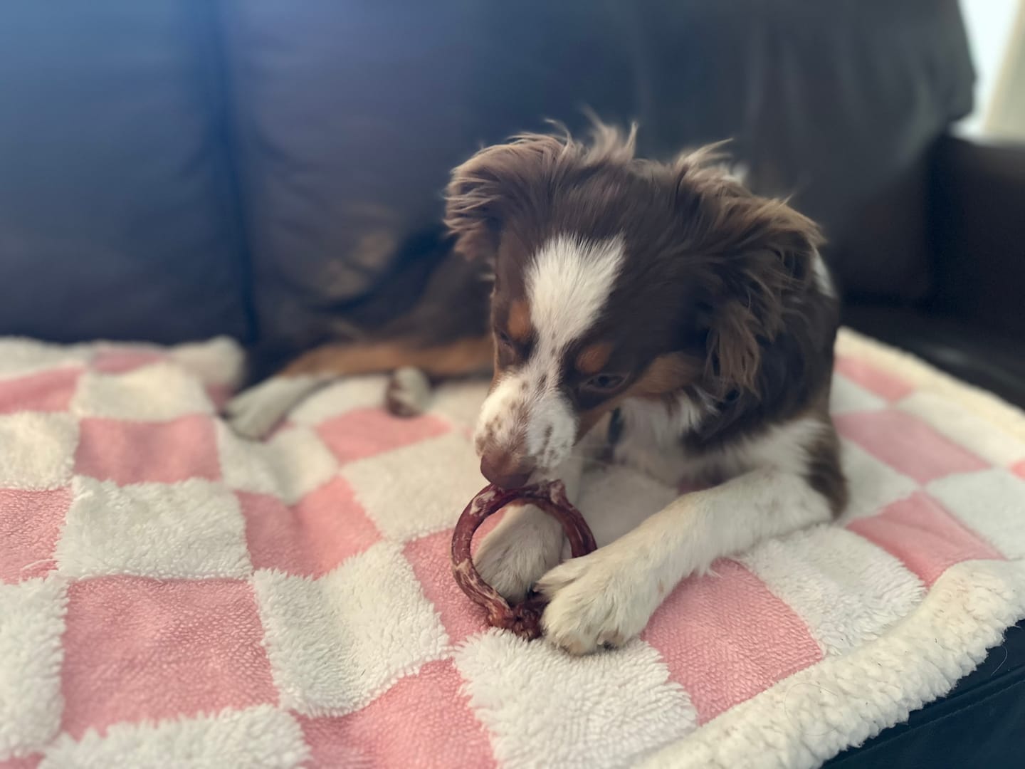 Customer photo review of Small Bully Stick Ring