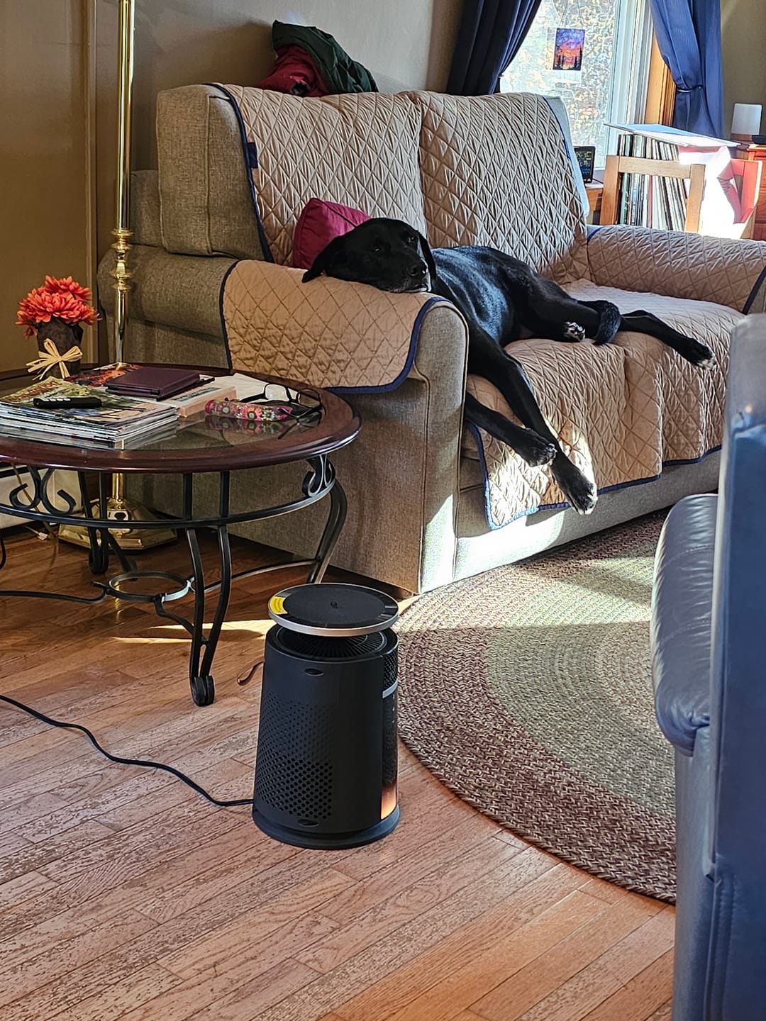 Customer photo review of Whole-Room Heater 720