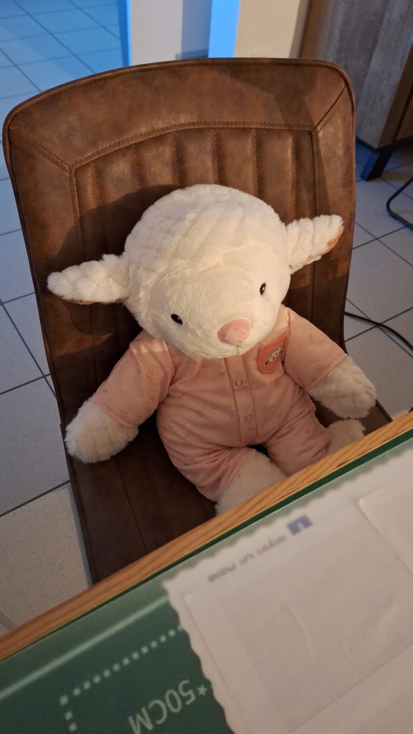 Customer photo review of Schaap Kleding Herfst Lotgenootje