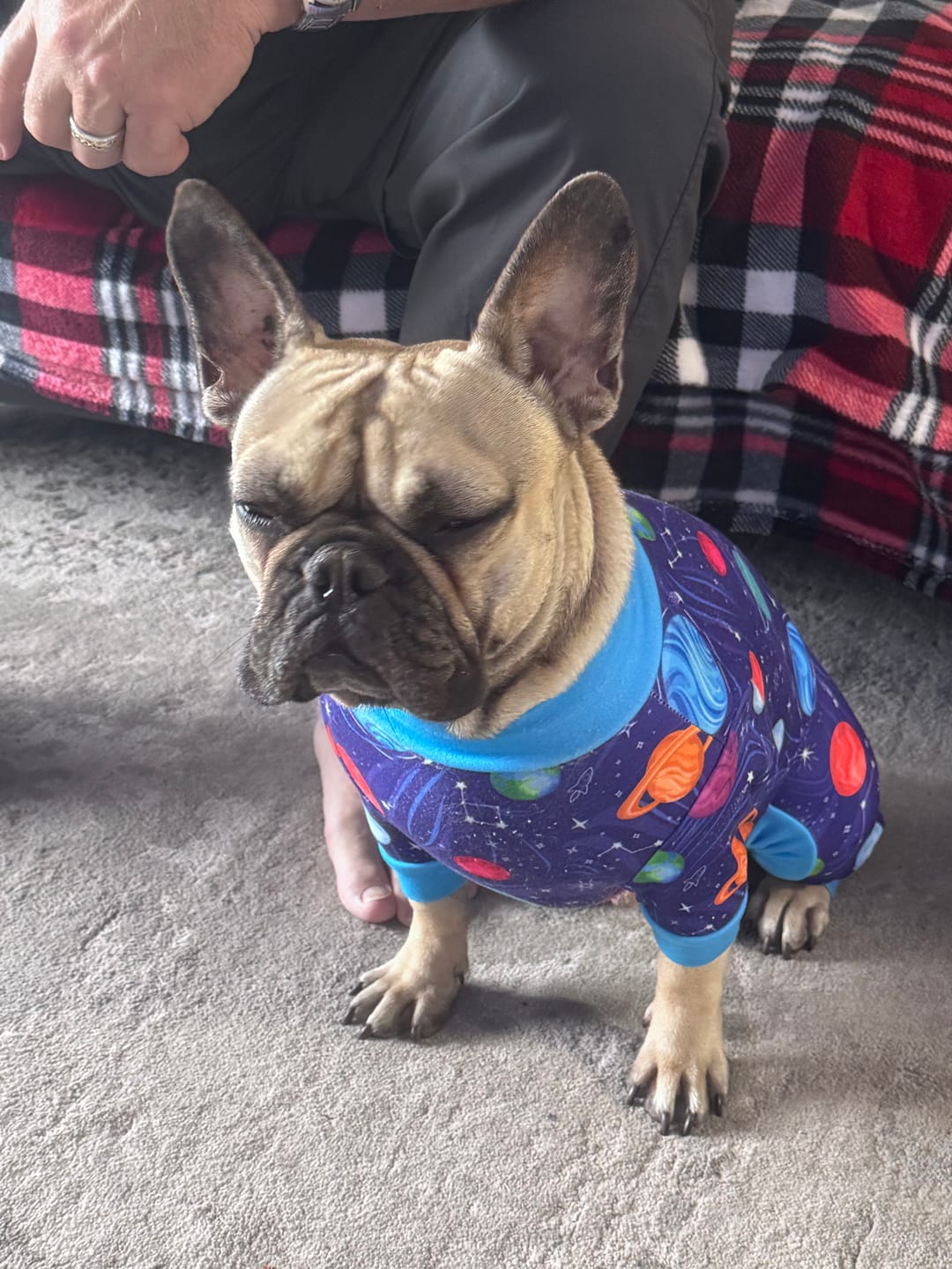 Customer photo review of Dog Pajama - Planets
