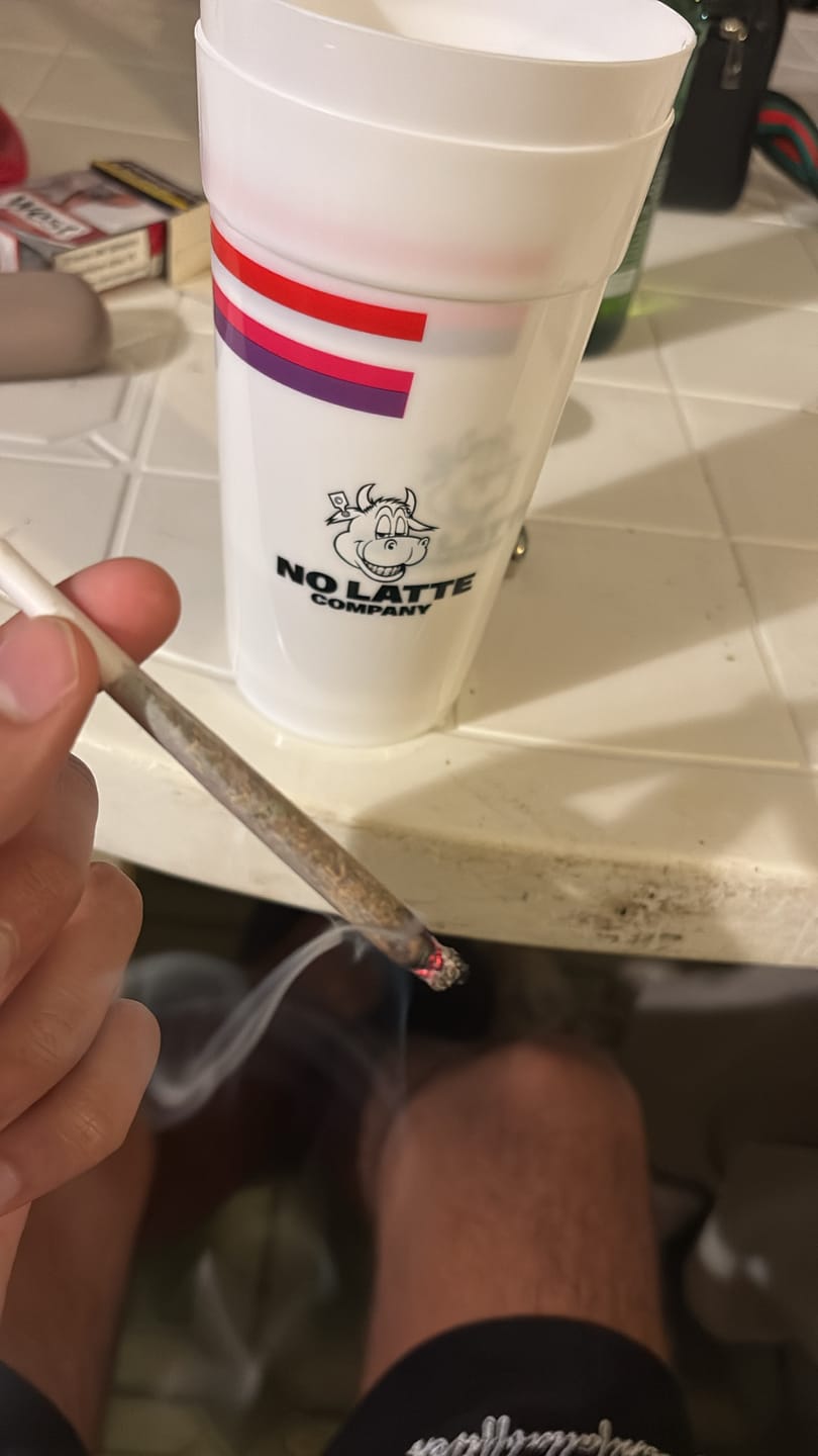 Customer photo review of GELATO X 30%