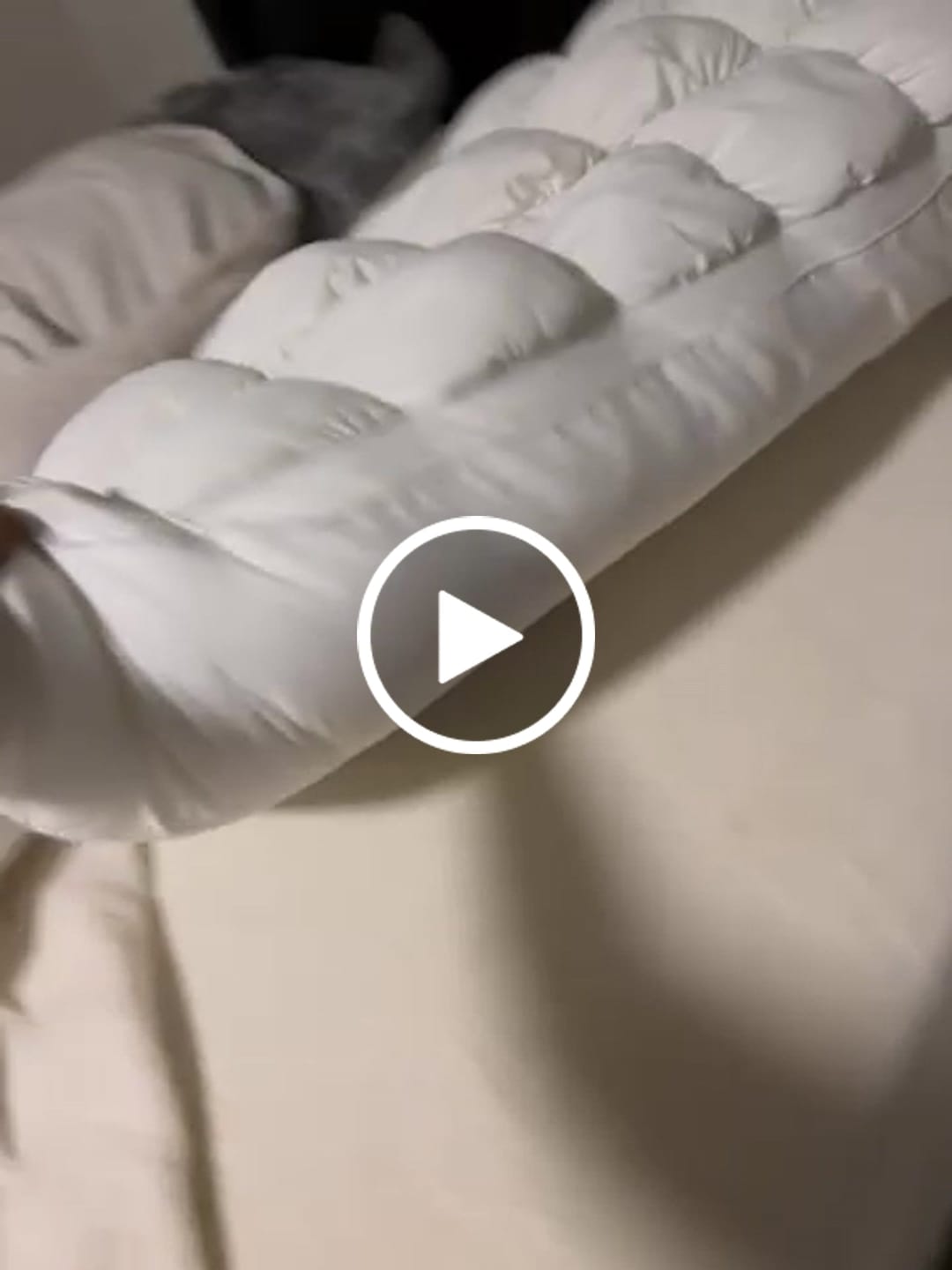 Customer video review of Puff Pillow