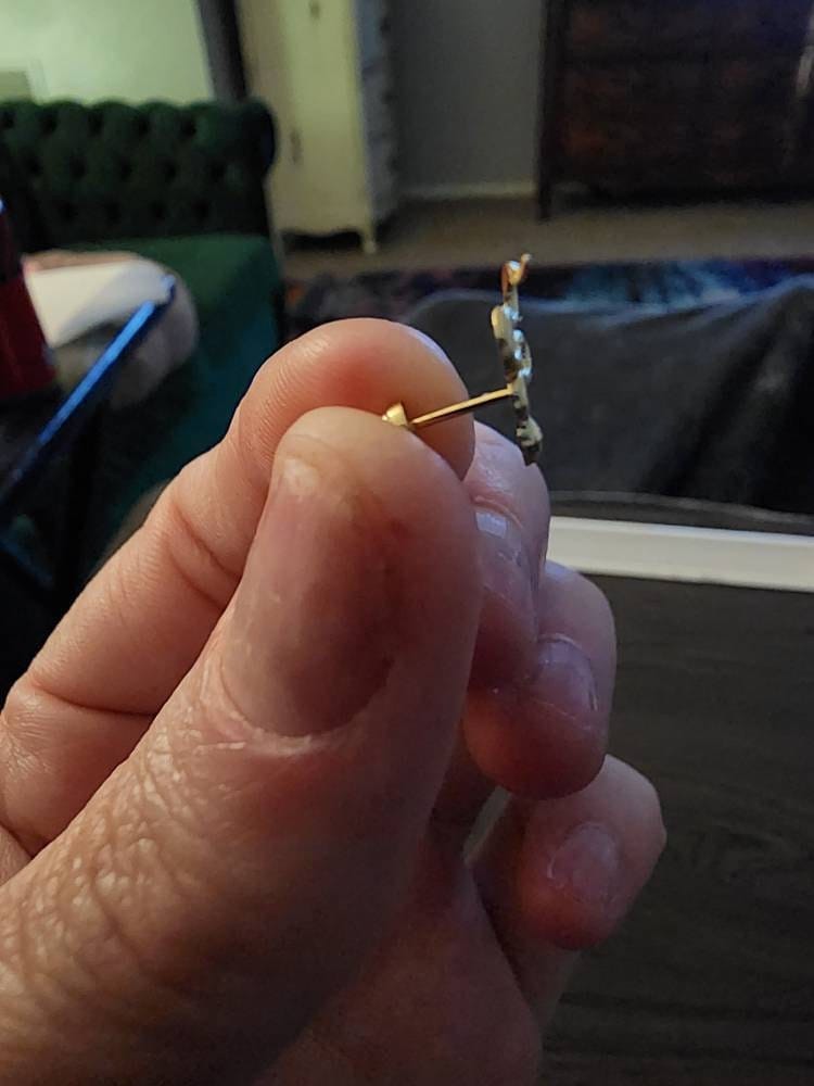 Customer photo review of 14K Gold Snake Stud Earrings
