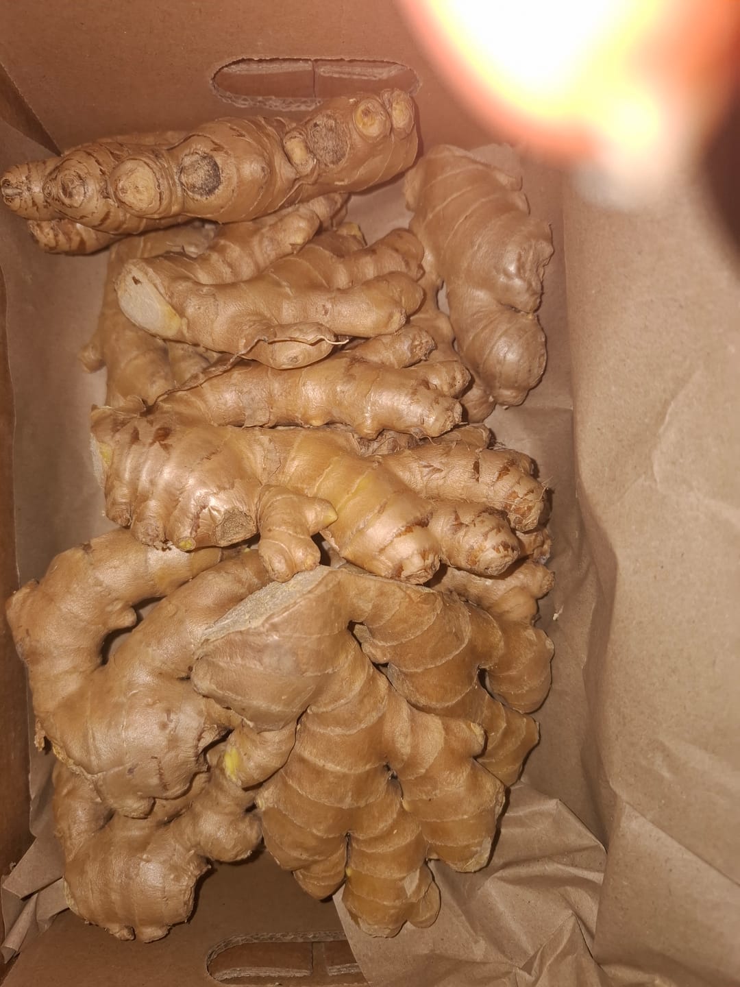 Customer photo review of Ingwer Bio aus Peru (mit Schale verwertbar) Aktionspreis %