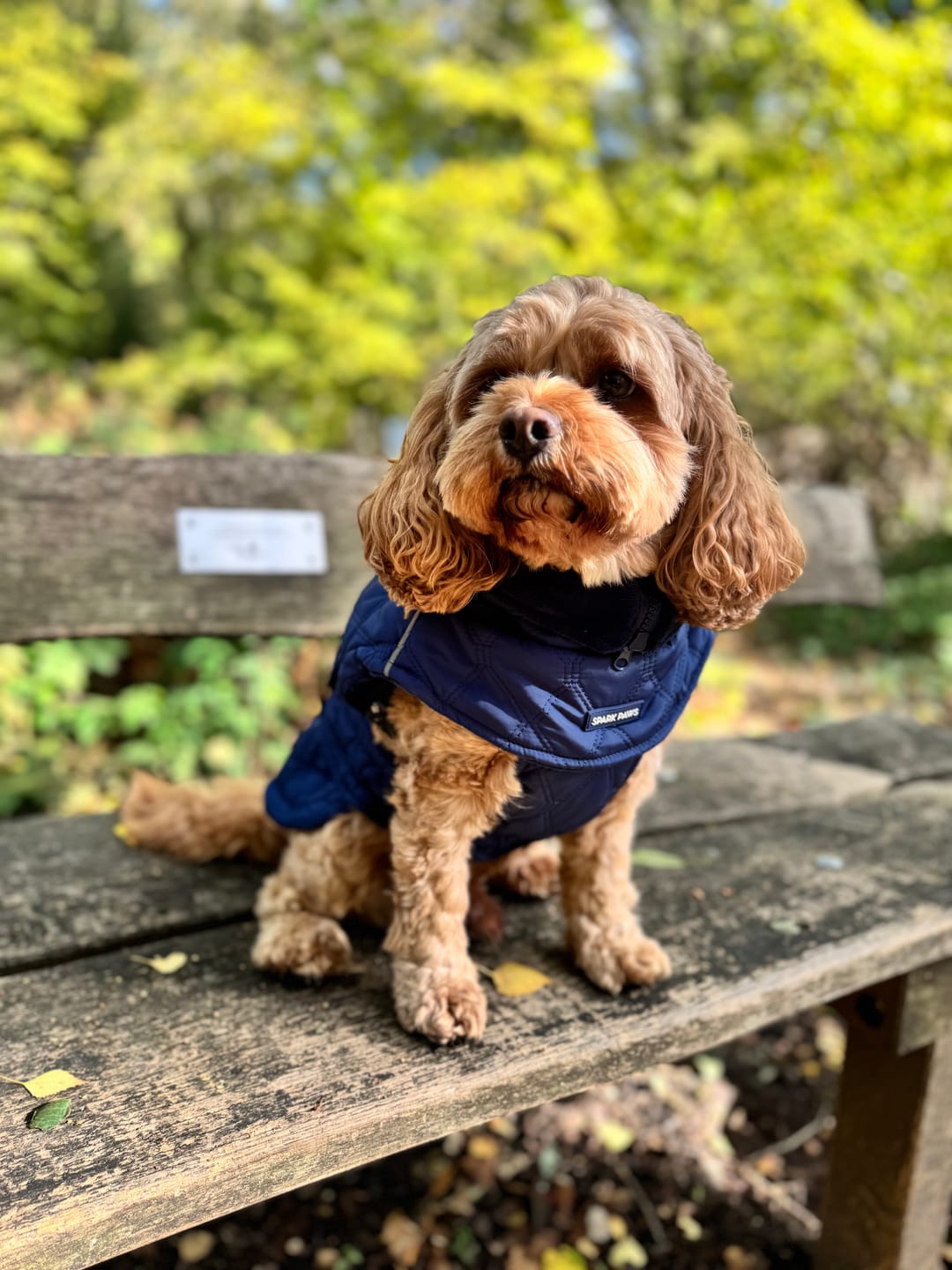 Customer photo review of Quilted Classic Winter Coats