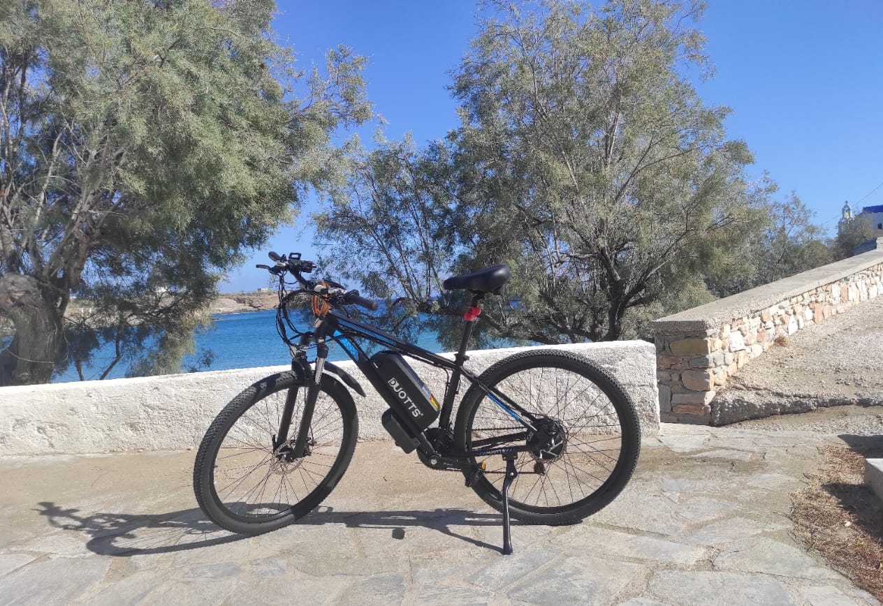Customer photo review of DUOTTS E-bike 750W Motor