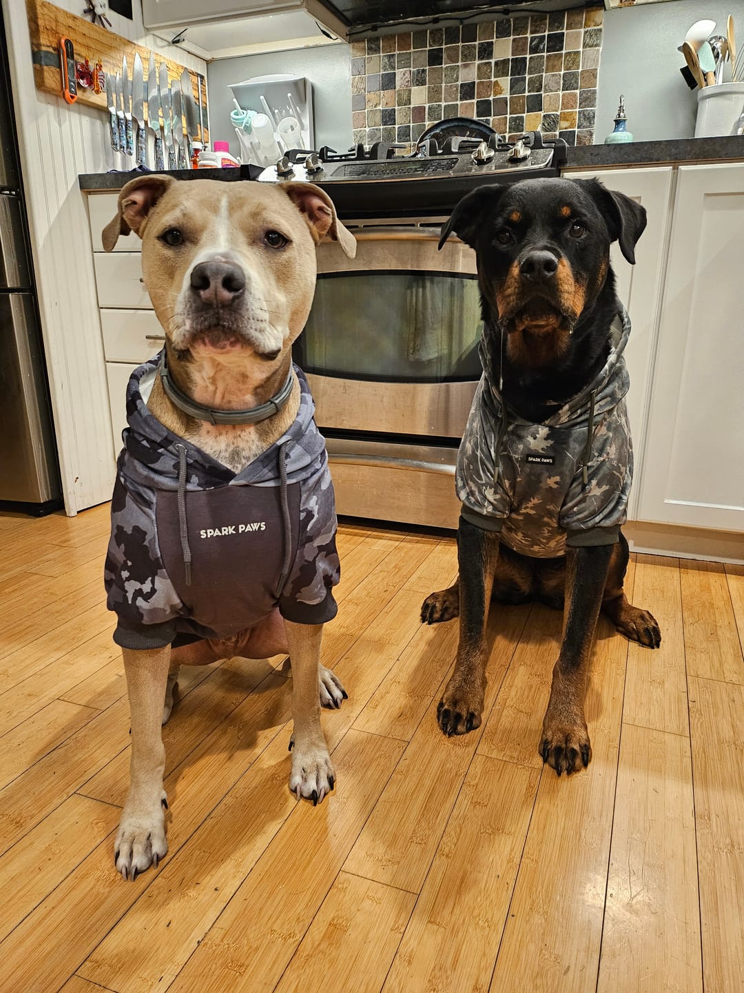 Customer photo review of Concrete Wood Dog Hoodie - Timber