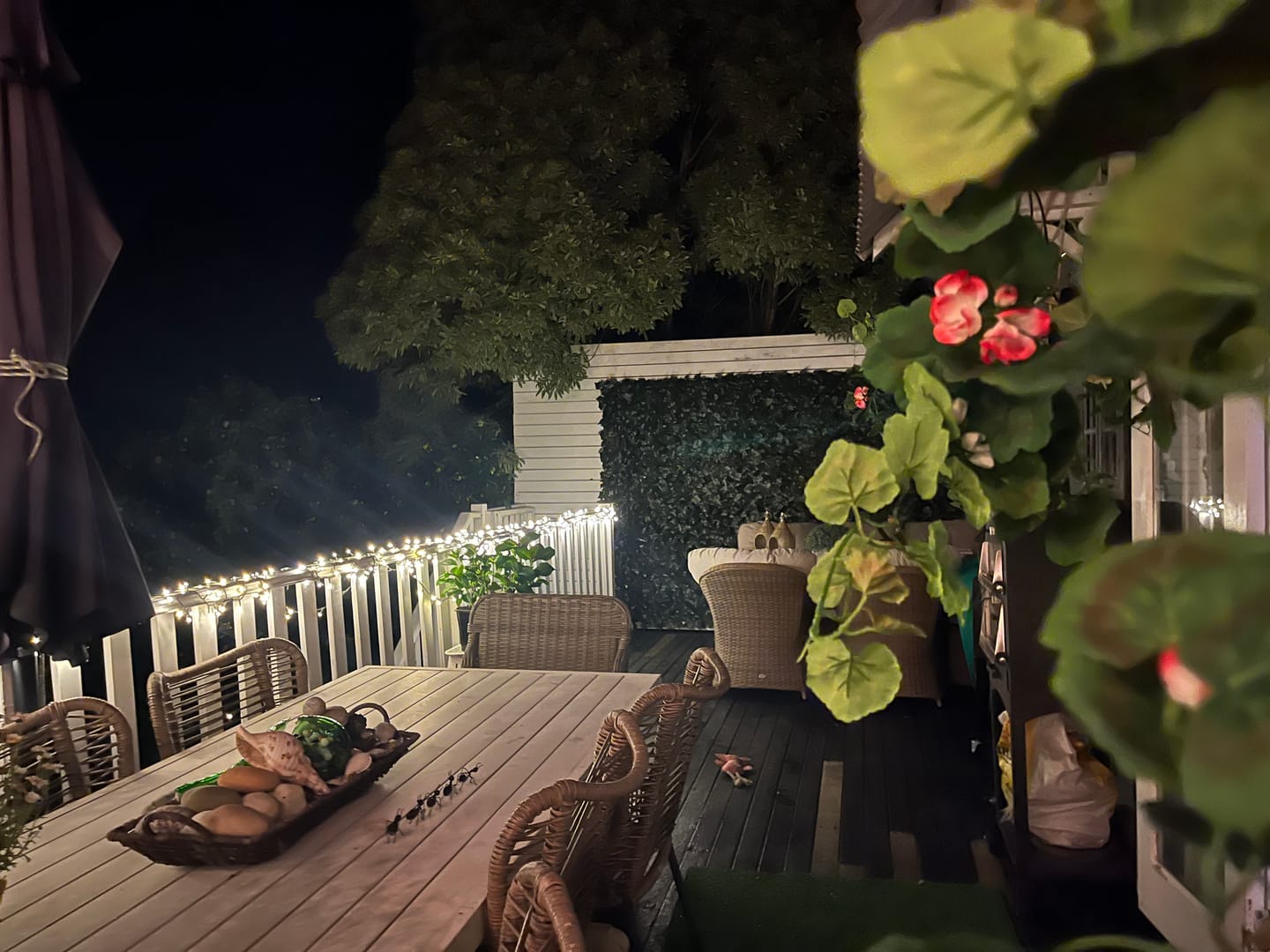 Customer photo review of Fake Ivy Roll 3m x 1m – Instant Artificial Hedge Panel Ivy Roll