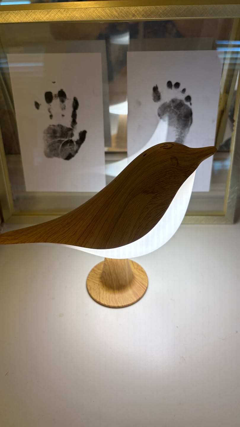 Customer photo review of Glow Bird