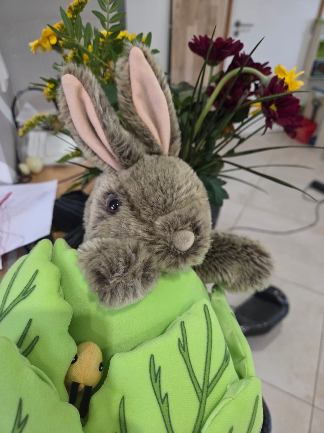 Customer photo review of Lapin dans une laitue avec 3 mini bêtes Marionnette