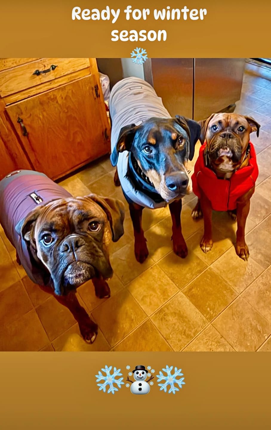 Customer photo review of WarmShield Water-Resistant Jackets