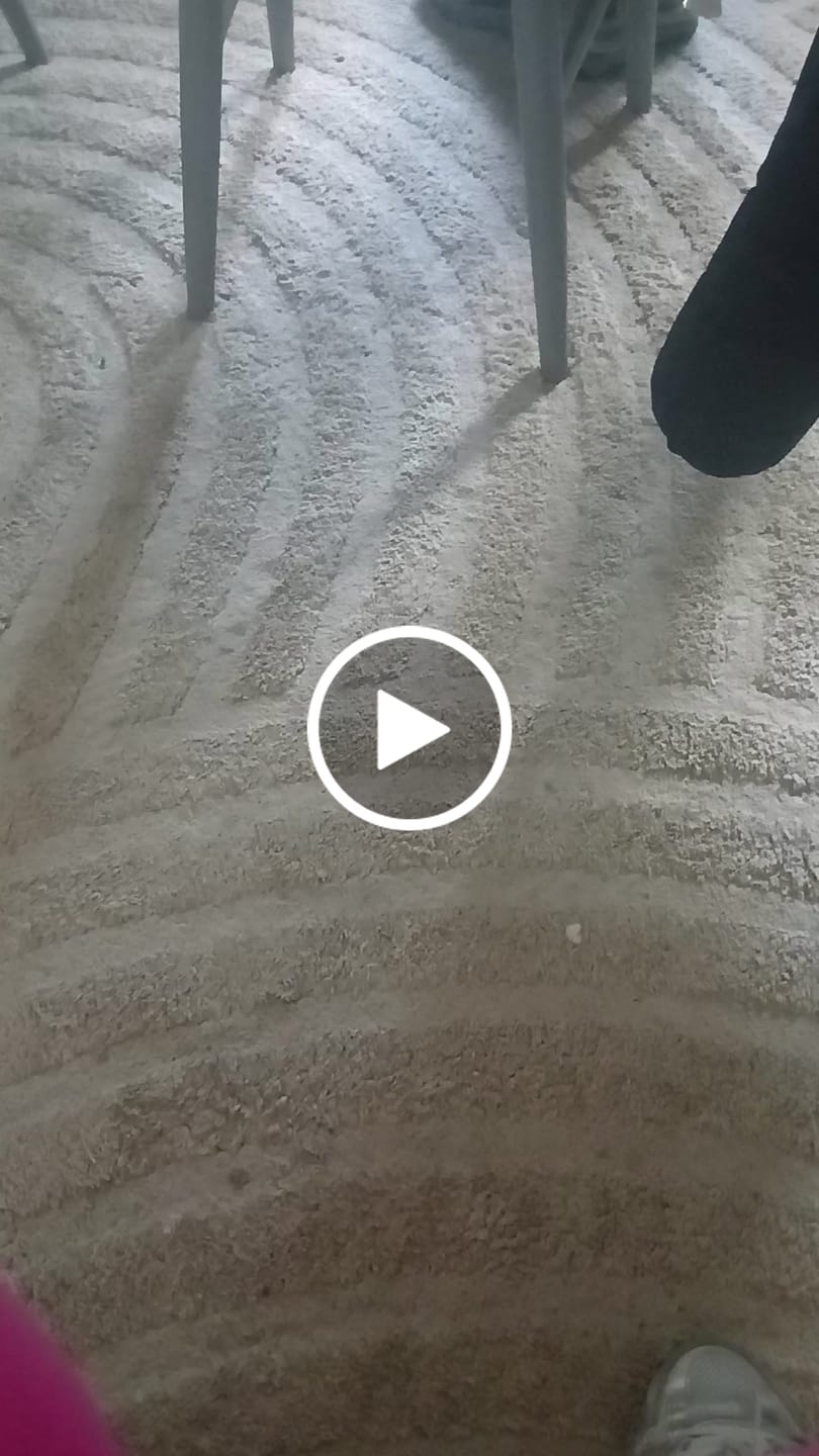 Customer video review of What A Treat Bundle