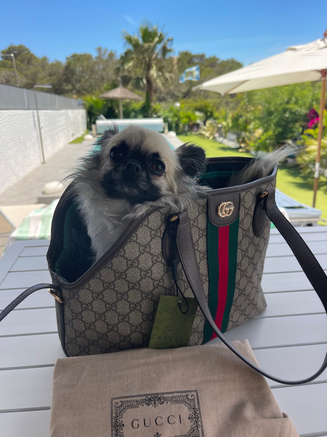 Customer photo review of Rose Bag