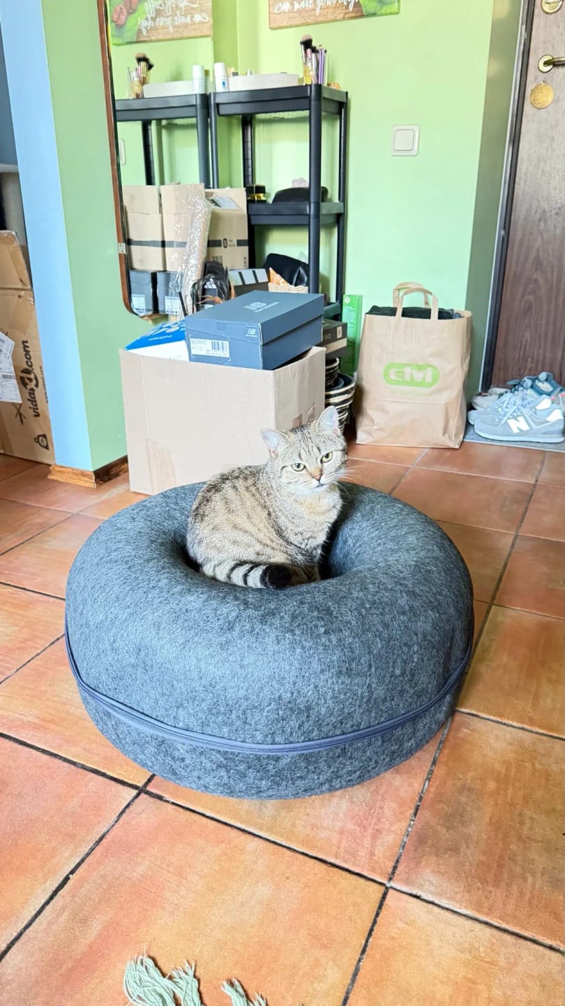 Customer photo review of The Cat Hideout Bed They'll Actually Use