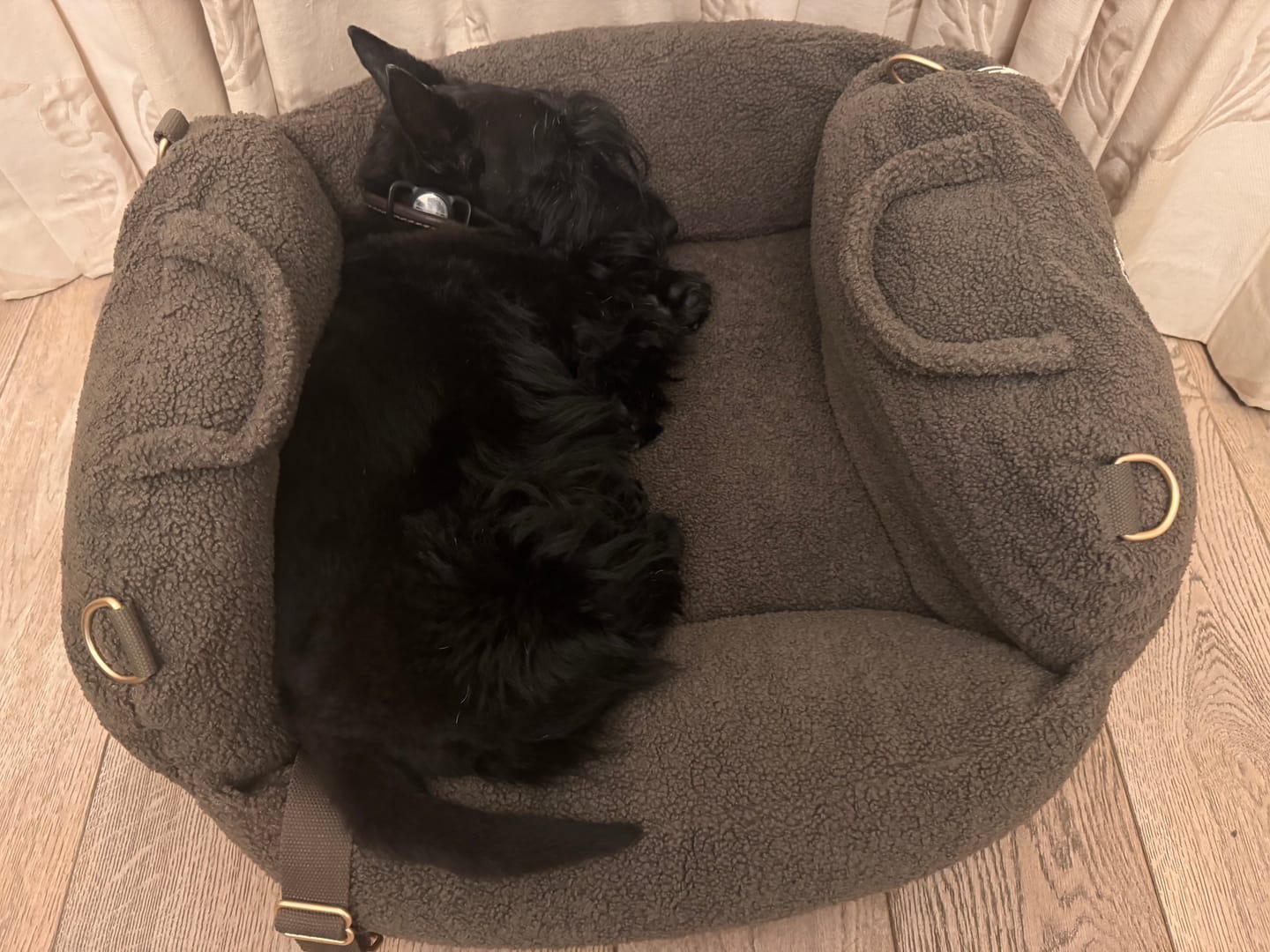 Customer photo review of Chocolate | The Cosy Car Seat