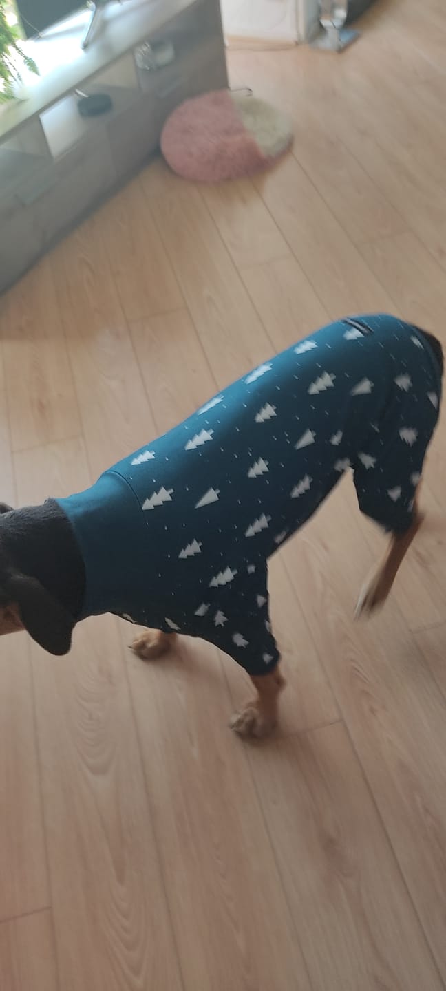 Customer photo review of Dog Christmas Pajama - Frosty Pines