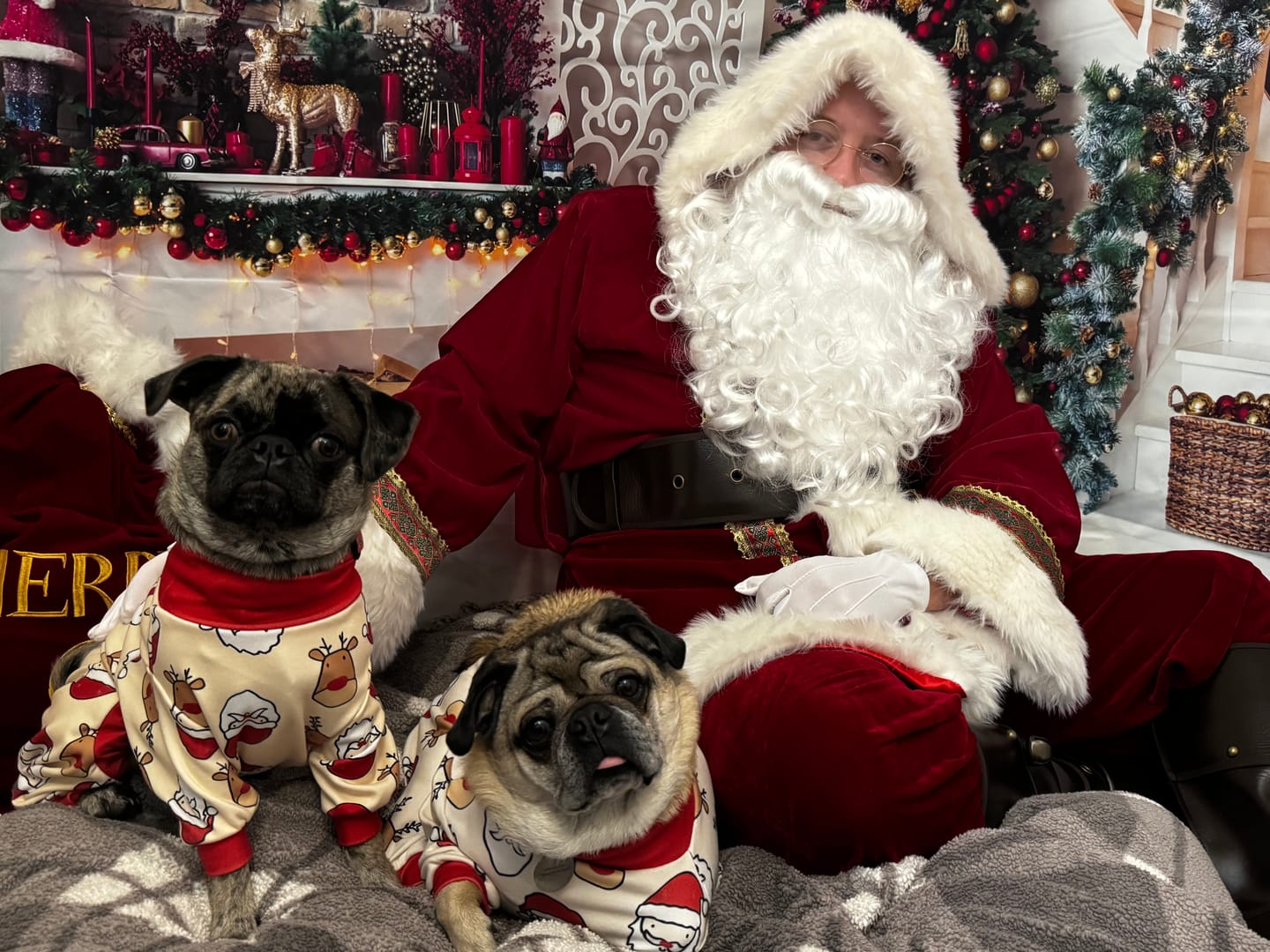 Customer photo review of Dog Christmas Pajama - Santa and Rudolph