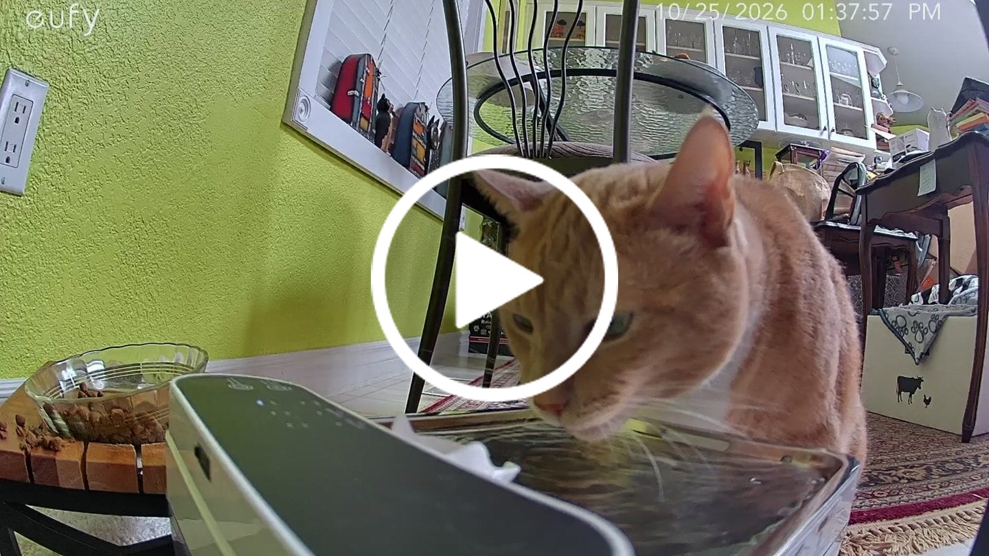 Customer video review of Purestream AquaOne - Automatic Cat Fountain