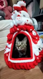 Customer photo review of WeihnachtsNest™ – Gemütliches Weihnachtsbett für Haustiere