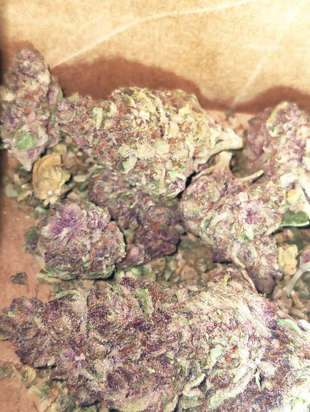 Customer photo review of Tropicana Cherry THCA Flower