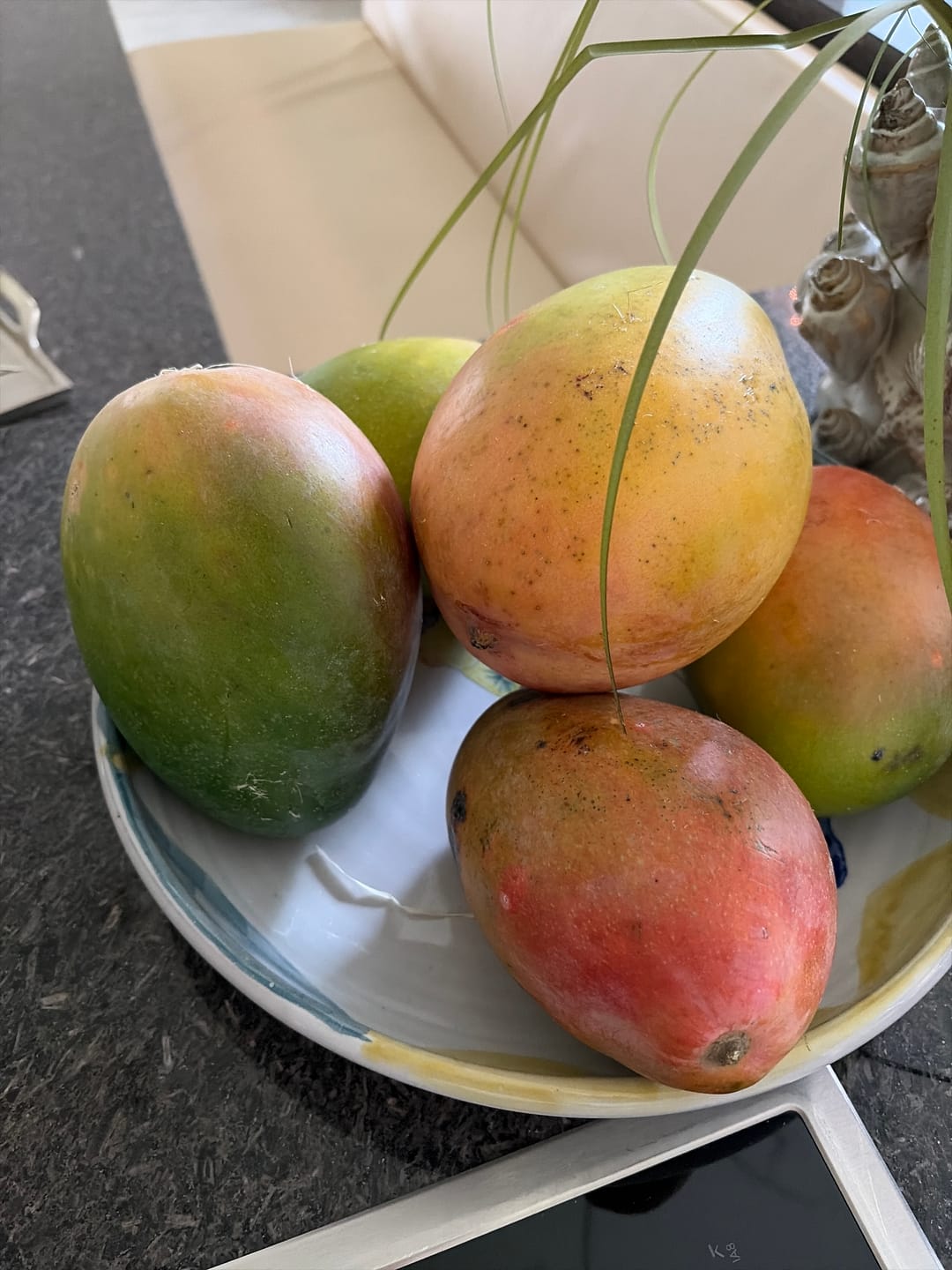 Customer photo review of Mango Keitt Bio von Juan 4kg Box Aktionswoche %