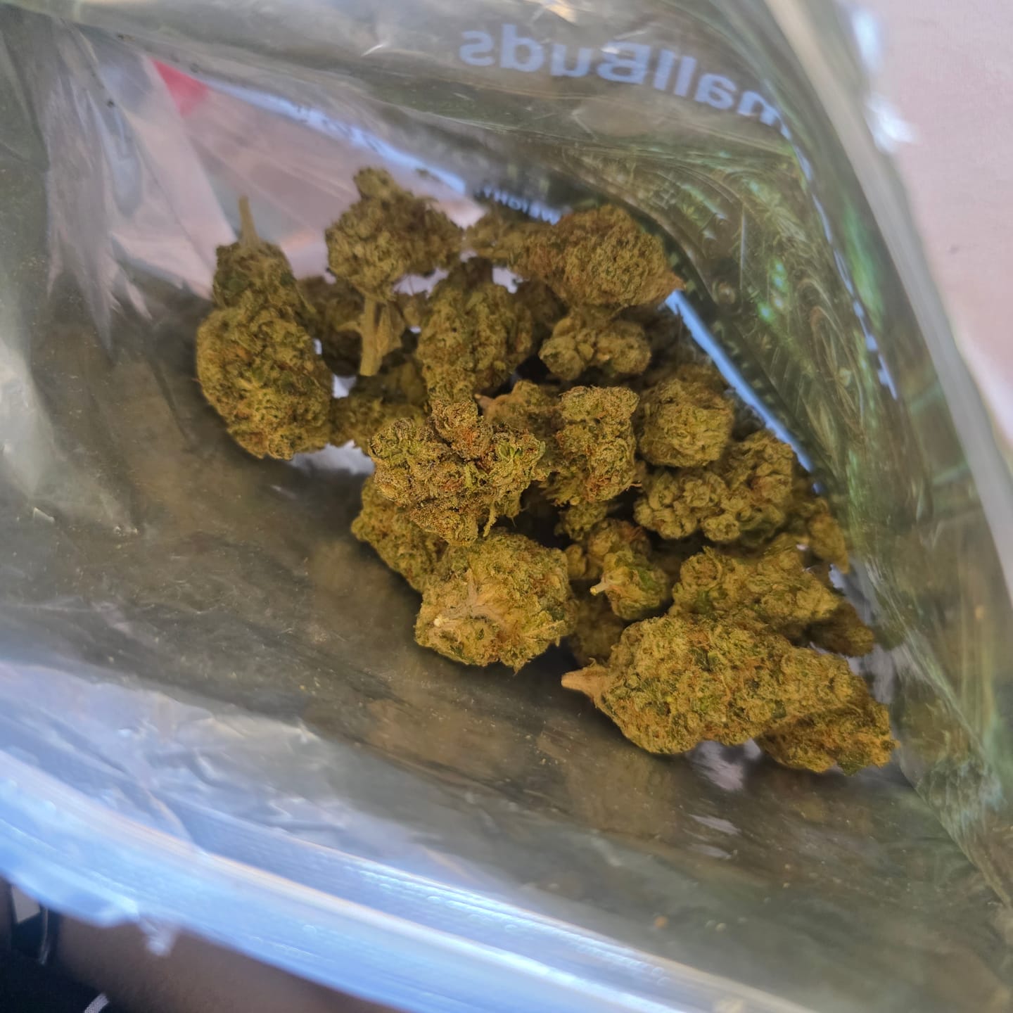 Customer photo review of Gluetopia THCA Flower