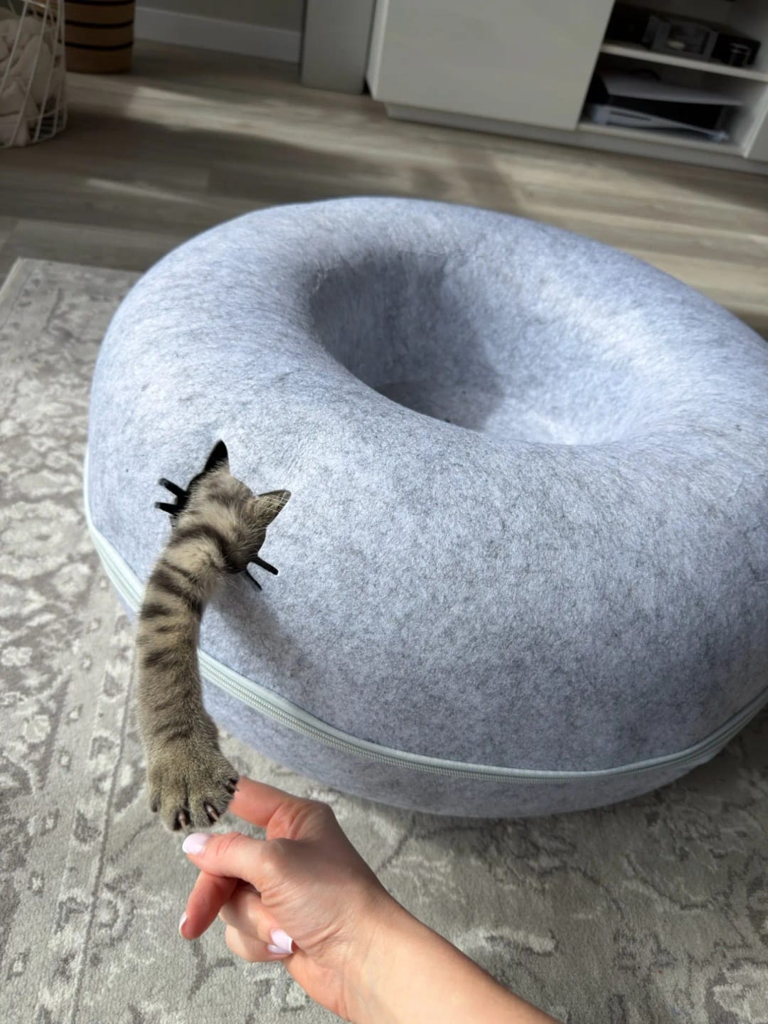 Customer photo review of The Cat Hideout Bed They'll Actually Use